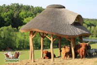 /album/fotogalerie-farma-park-sobehrdy/farmapark-sobehrdy21-jpg/